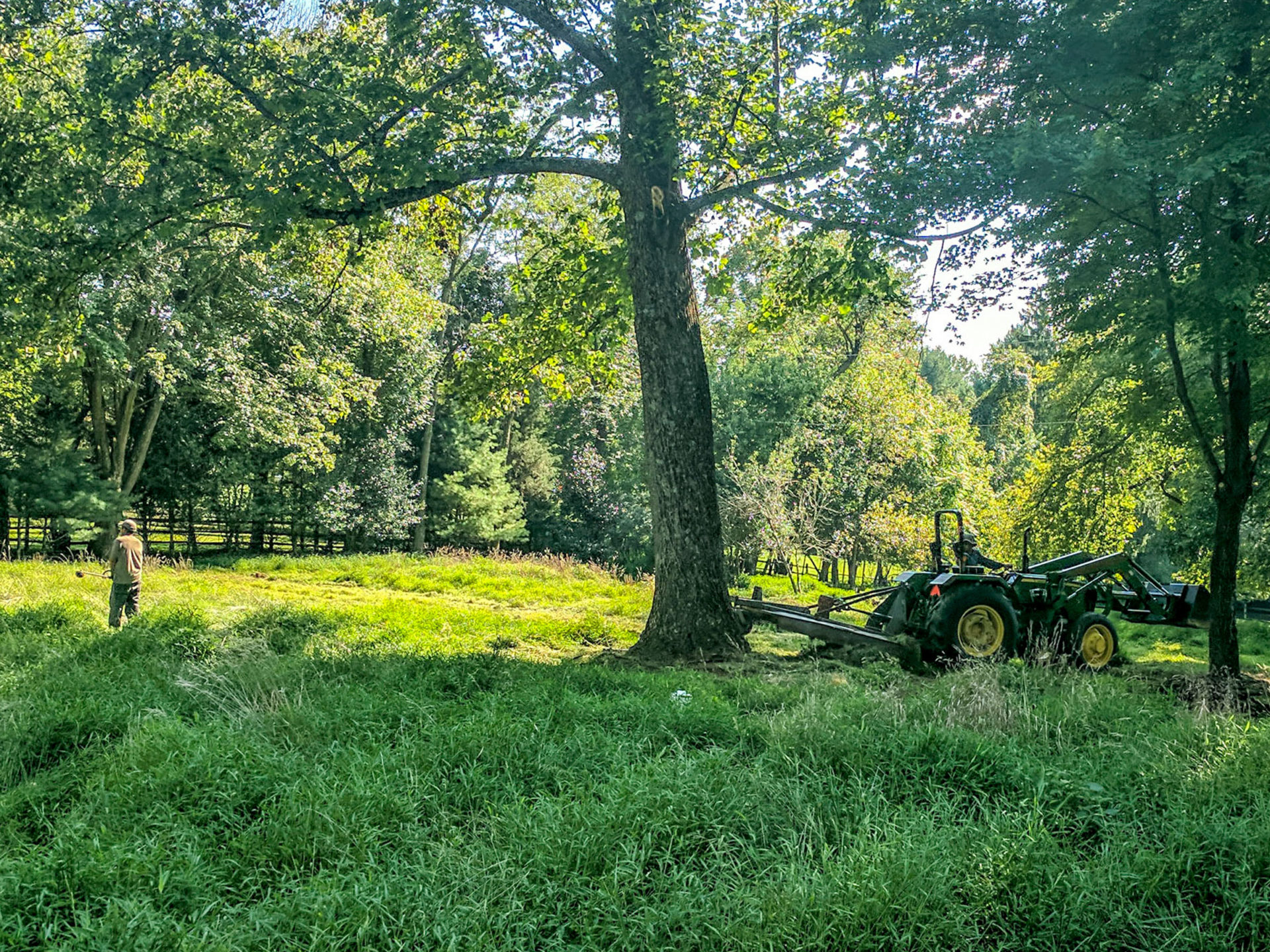 A plot of land with green grass, trees, and a tractor on the side.