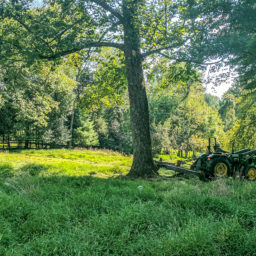 A plot of land with green grass, trees, and a tractor on the side.