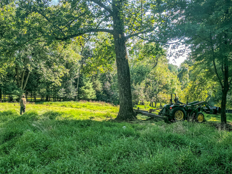 A plot of land with green grass, trees, and a tractor on the side.